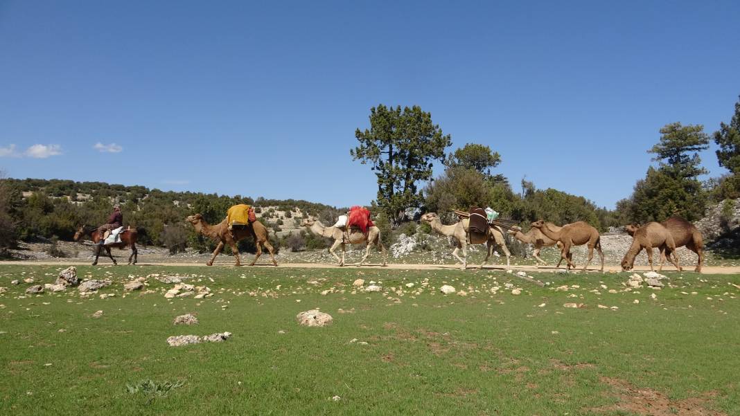 Son konargöçerler Konya'ya geliyor 12